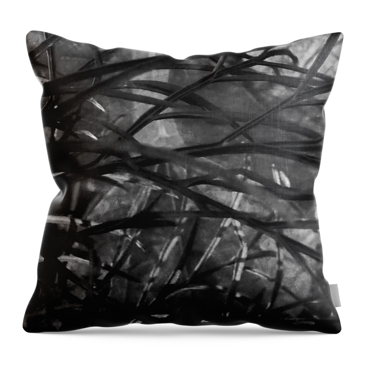 Leaves Throw Pillow featuring the photograph A Spider's Eye by Steve Taylor