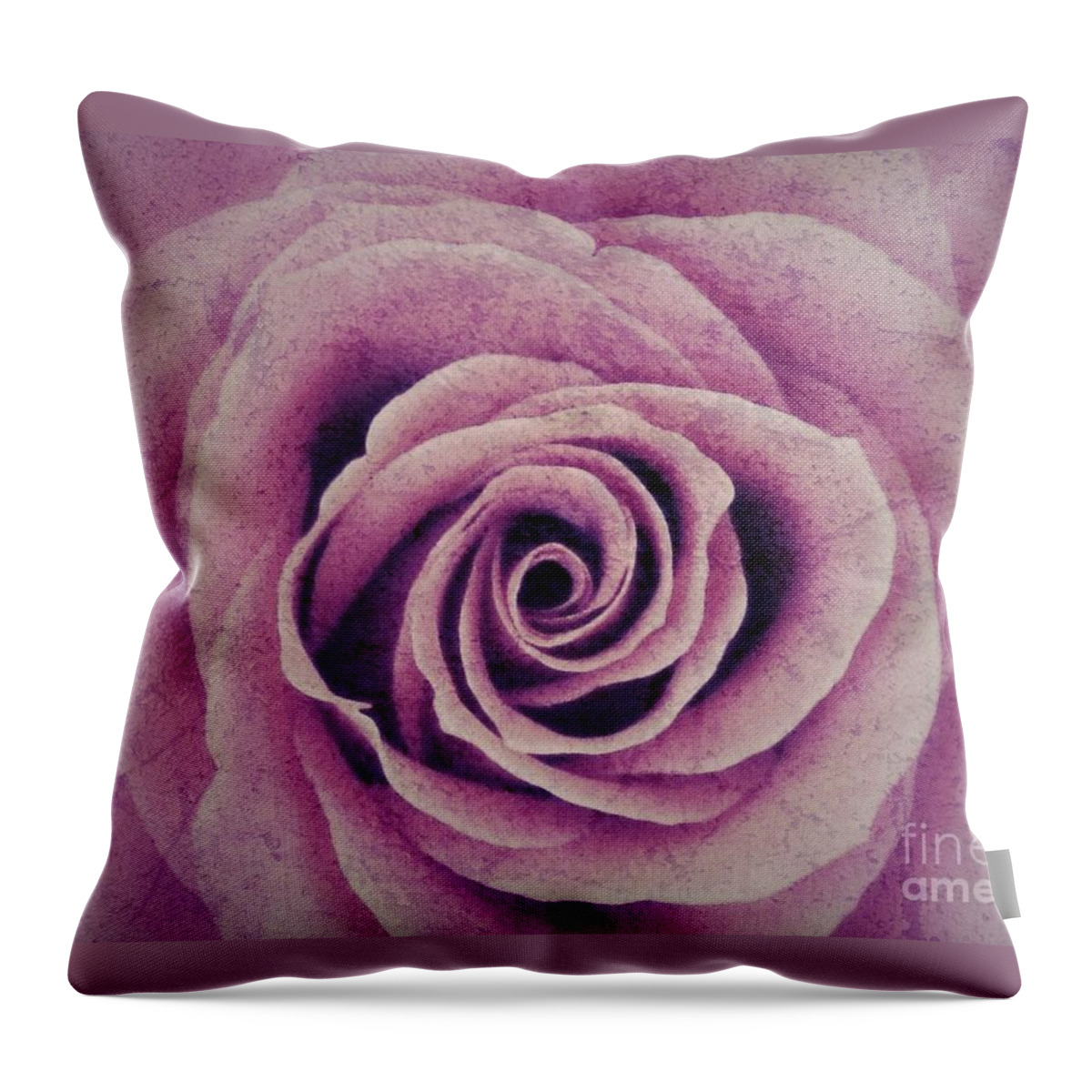Pink Rose Throw Pillow featuring the photograph A Sugared Rose by Joan-Violet Stretch