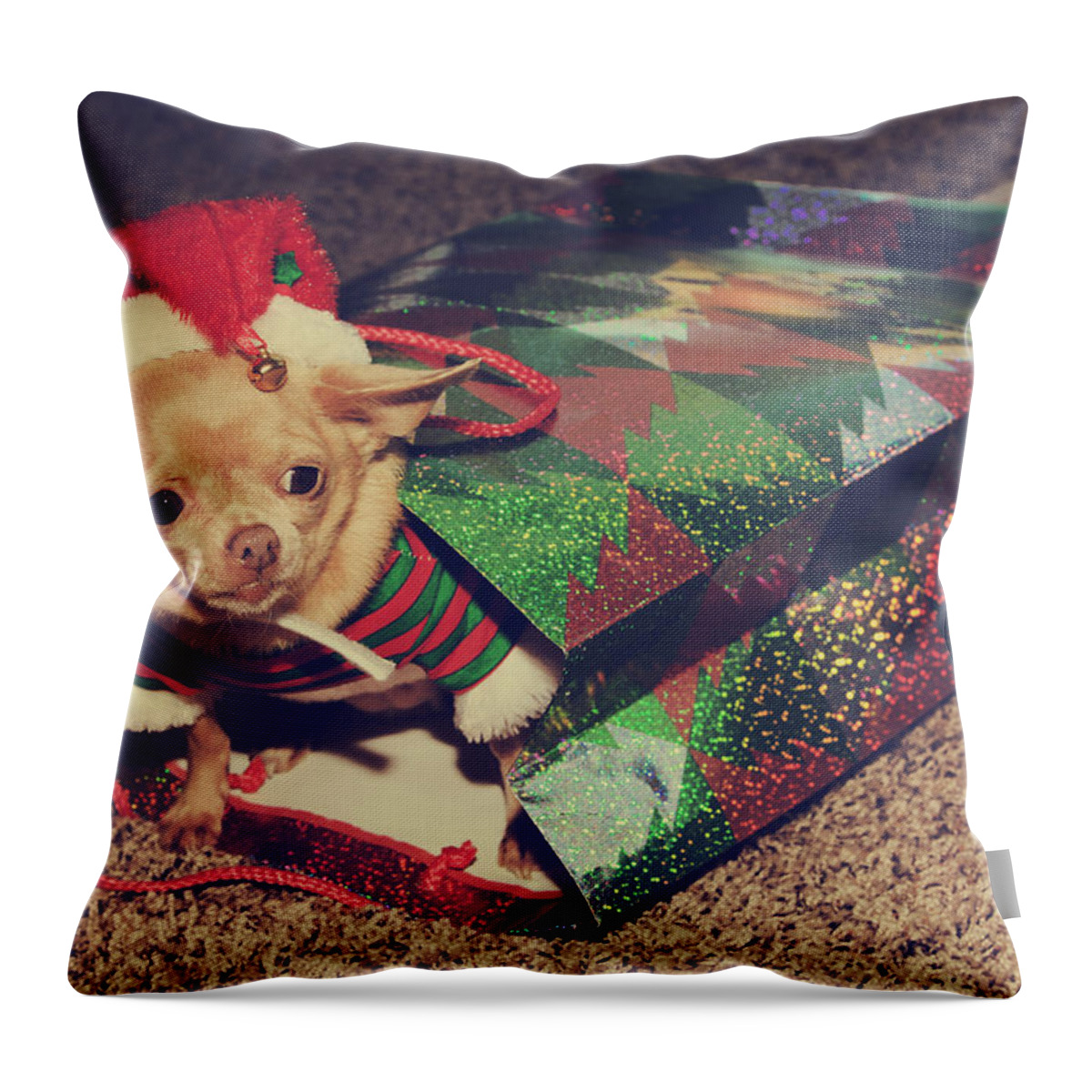Dog Throw Pillow featuring the photograph A Sweet Christmas Surprise by Laurie Search