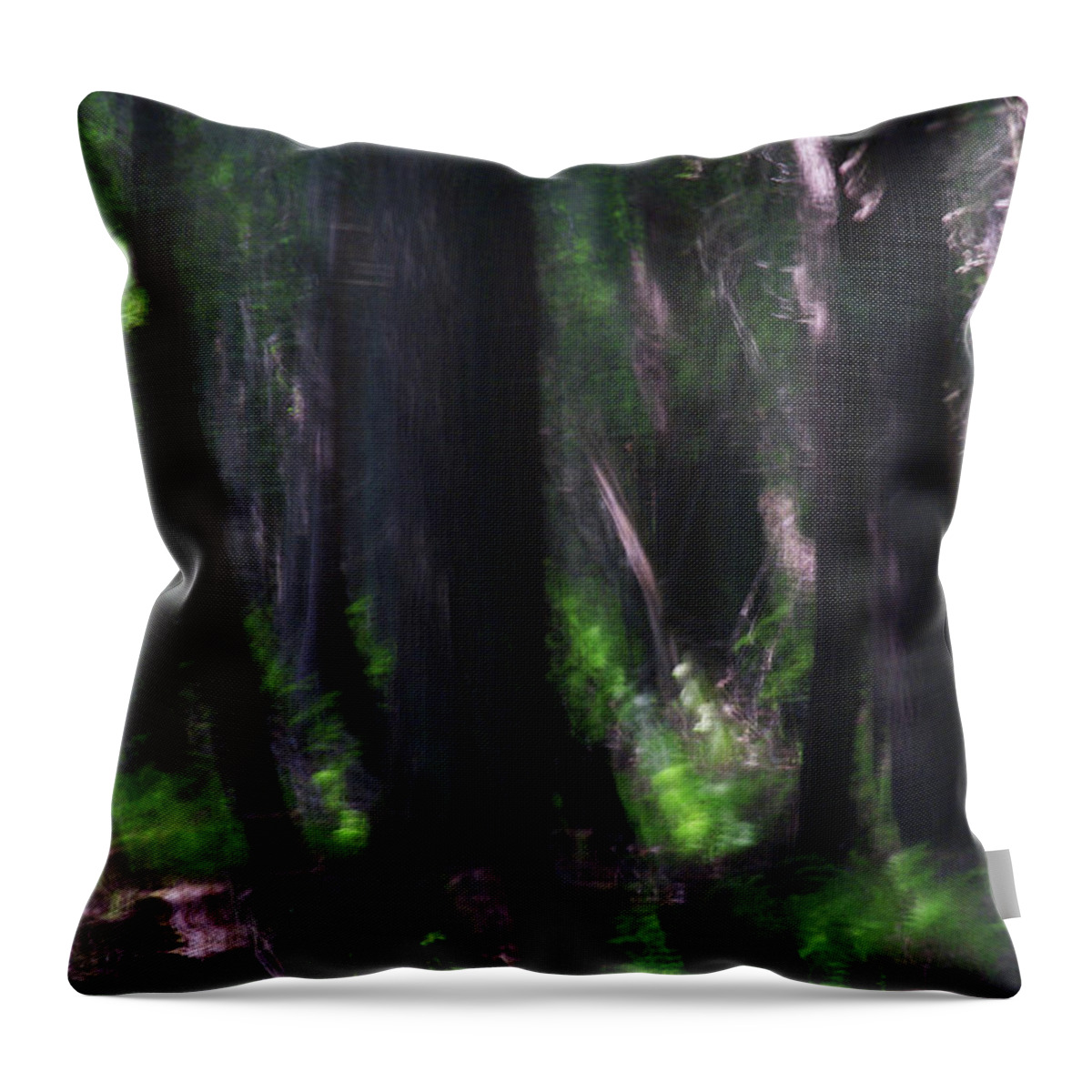 Forest Throw Pillow featuring the photograph A Thin Veil by Linda Shafer