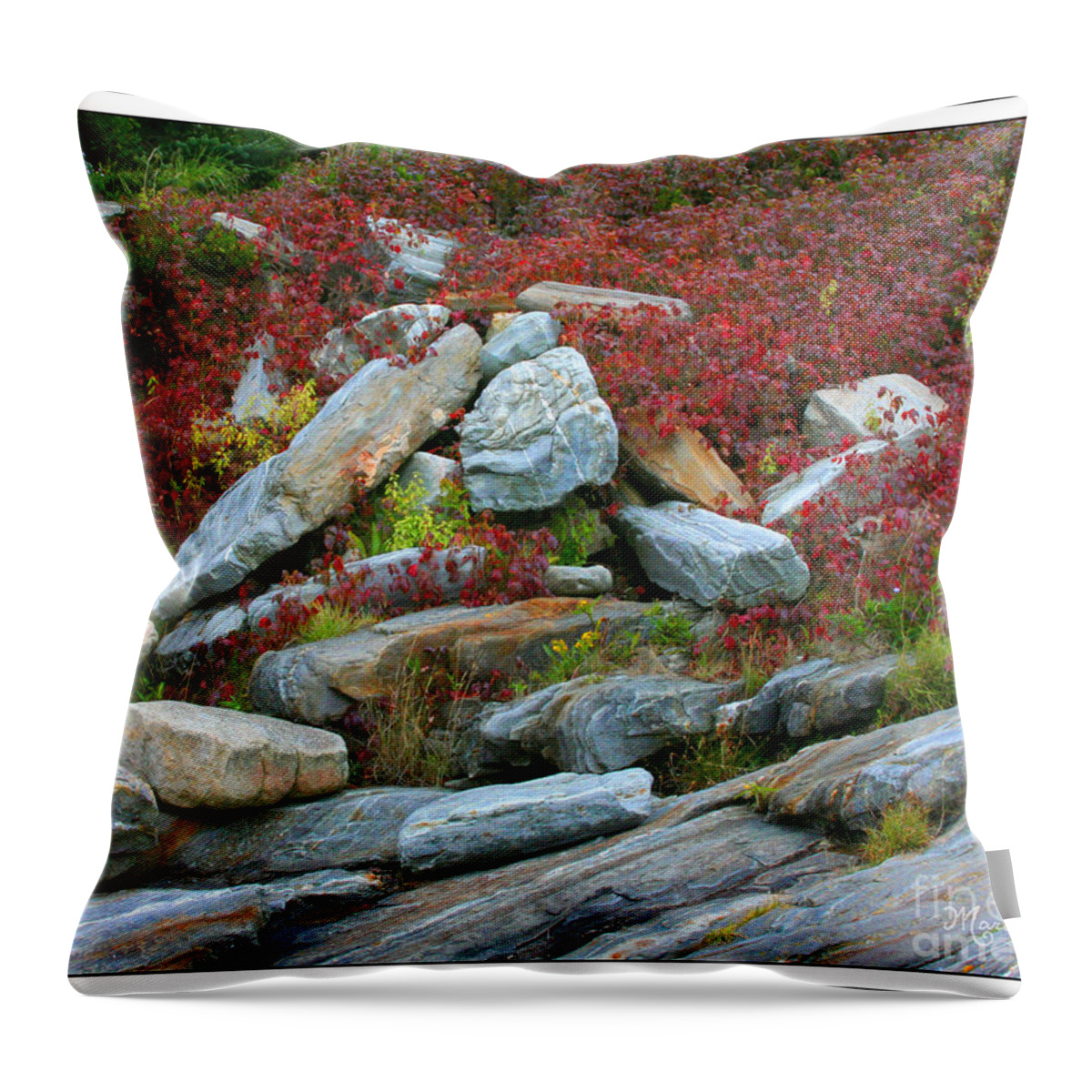 Rocks Throw Pillow featuring the photograph A Touch of Color by Mariarosa Rockefeller