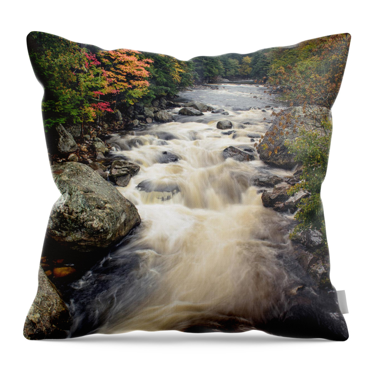 Ausable River Throw Pillow featuring the photograph A Touch Of Fall by Mark Papke