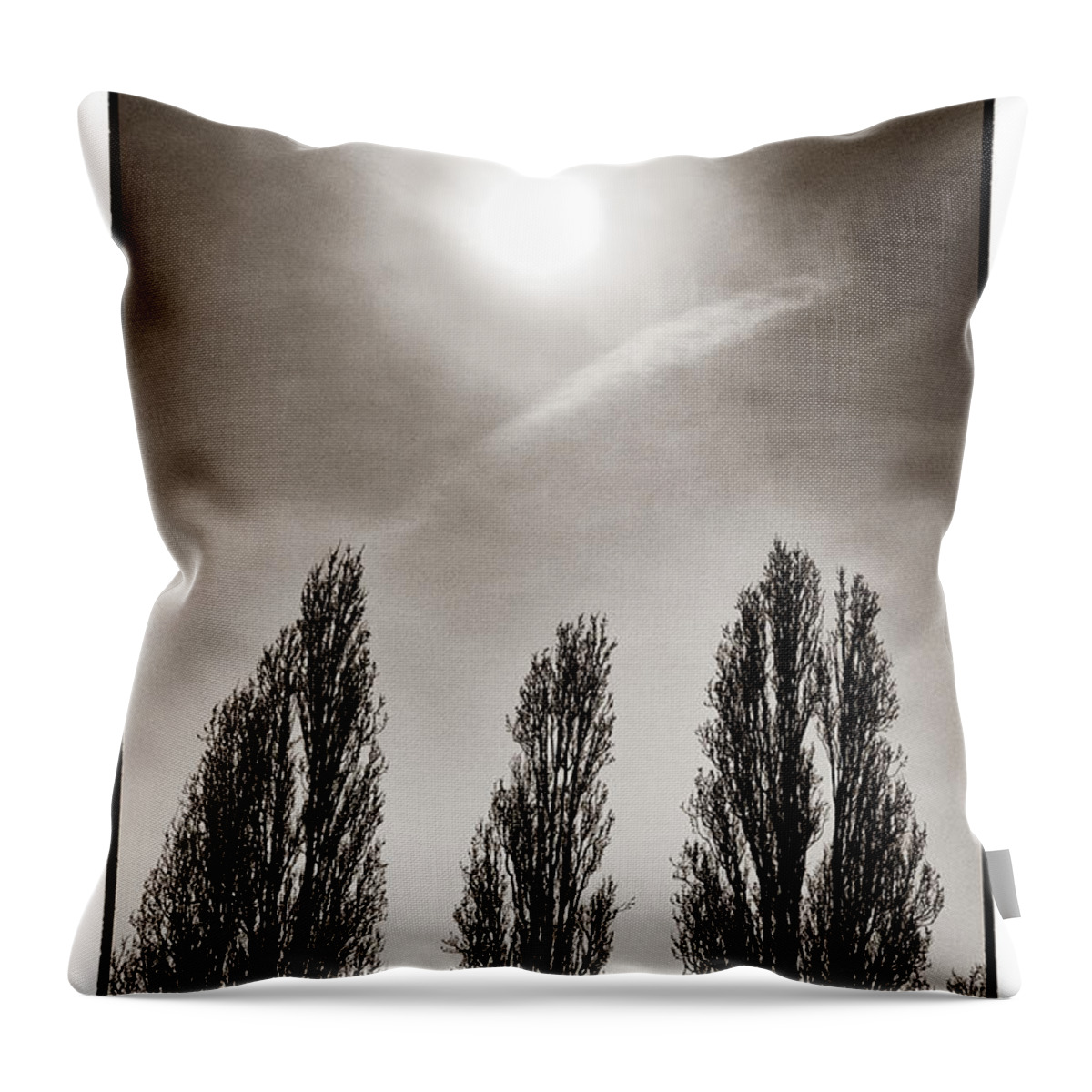 Foliage Throw Pillow featuring the photograph A Trio of Trees 2 by Lenny Carter