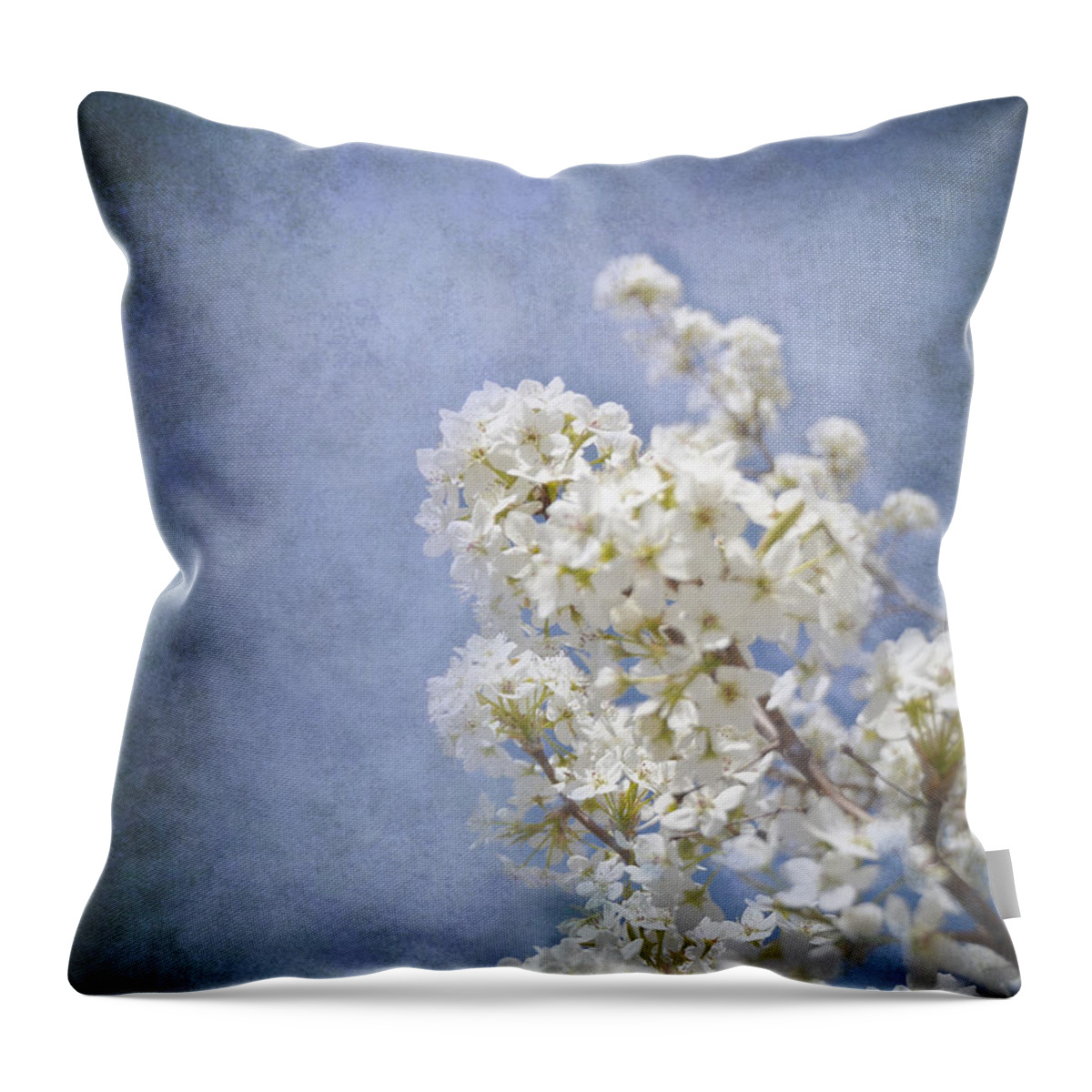 Bob And Nancy Kendrick Throw Pillow featuring the photograph A Vision of Spring by Bob and Nancy Kendrick