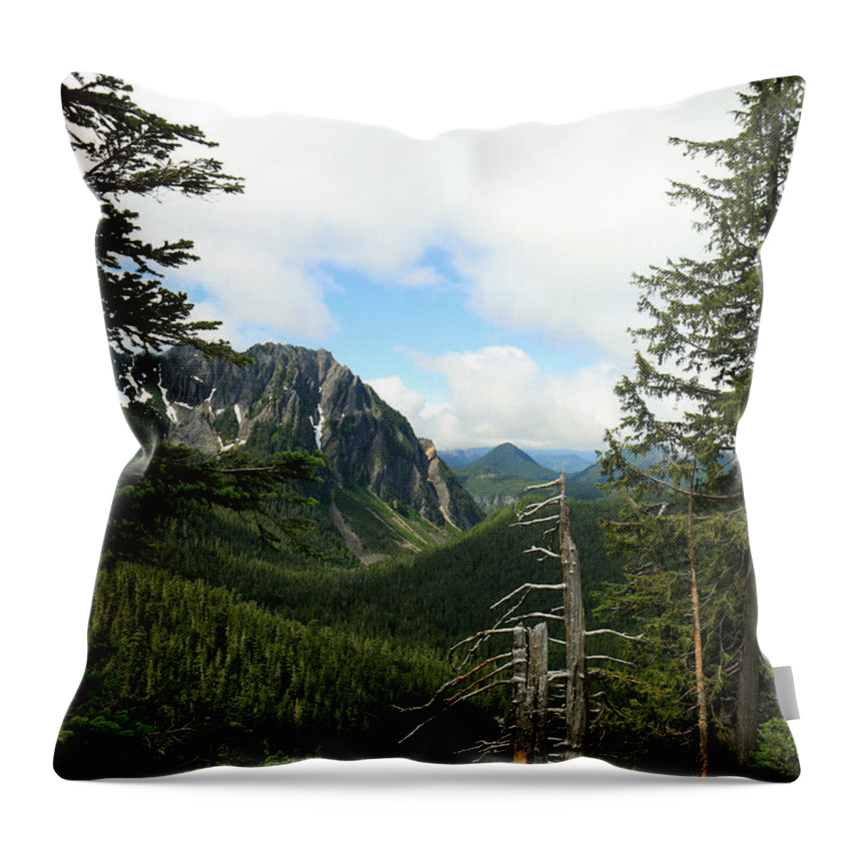 Clouds Throw Pillow featuring the photograph A Vista - Mt. Rainier National Park by E Faithe Lester