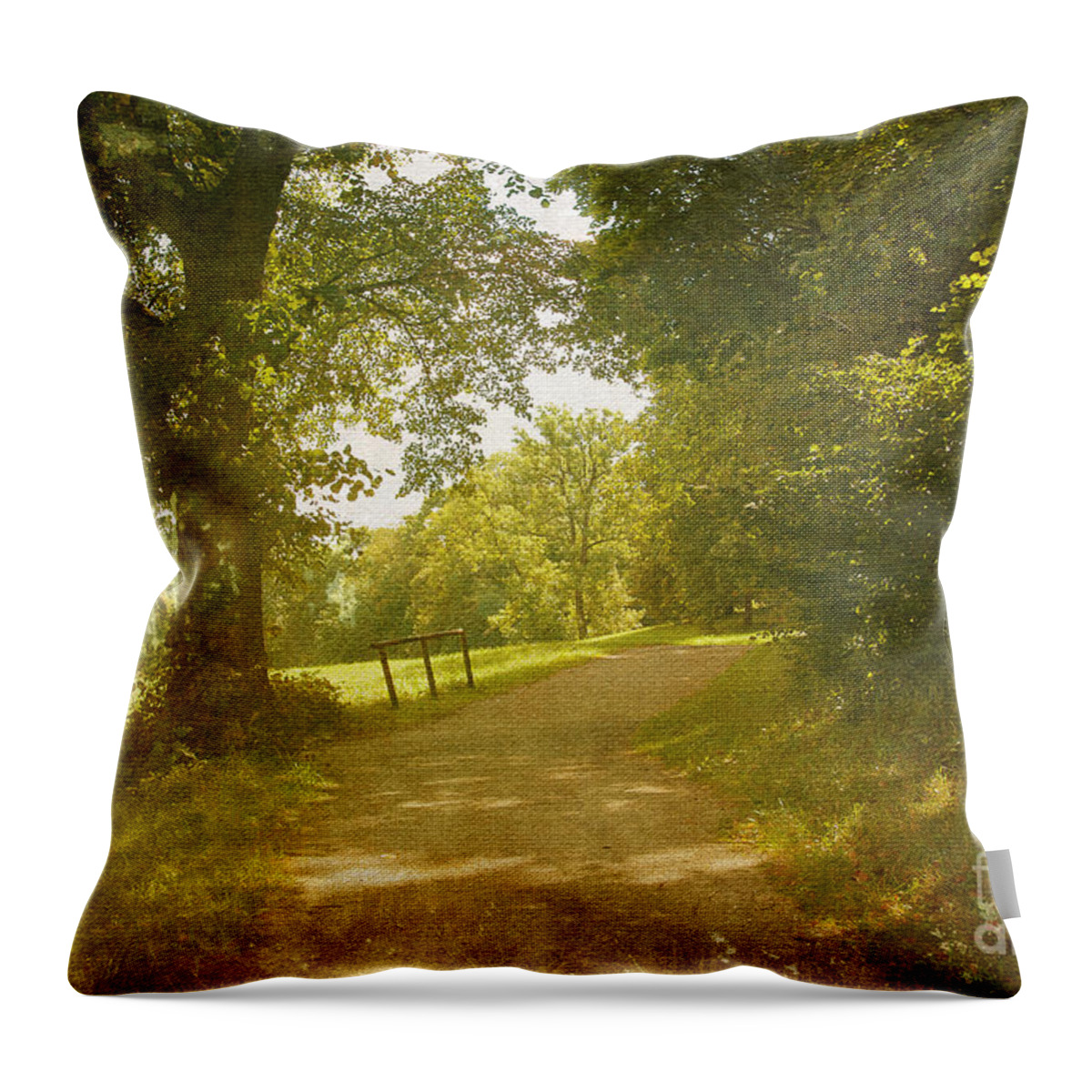 Photography Throw Pillow featuring the photograph A Walk in the Park by Ivy Ho