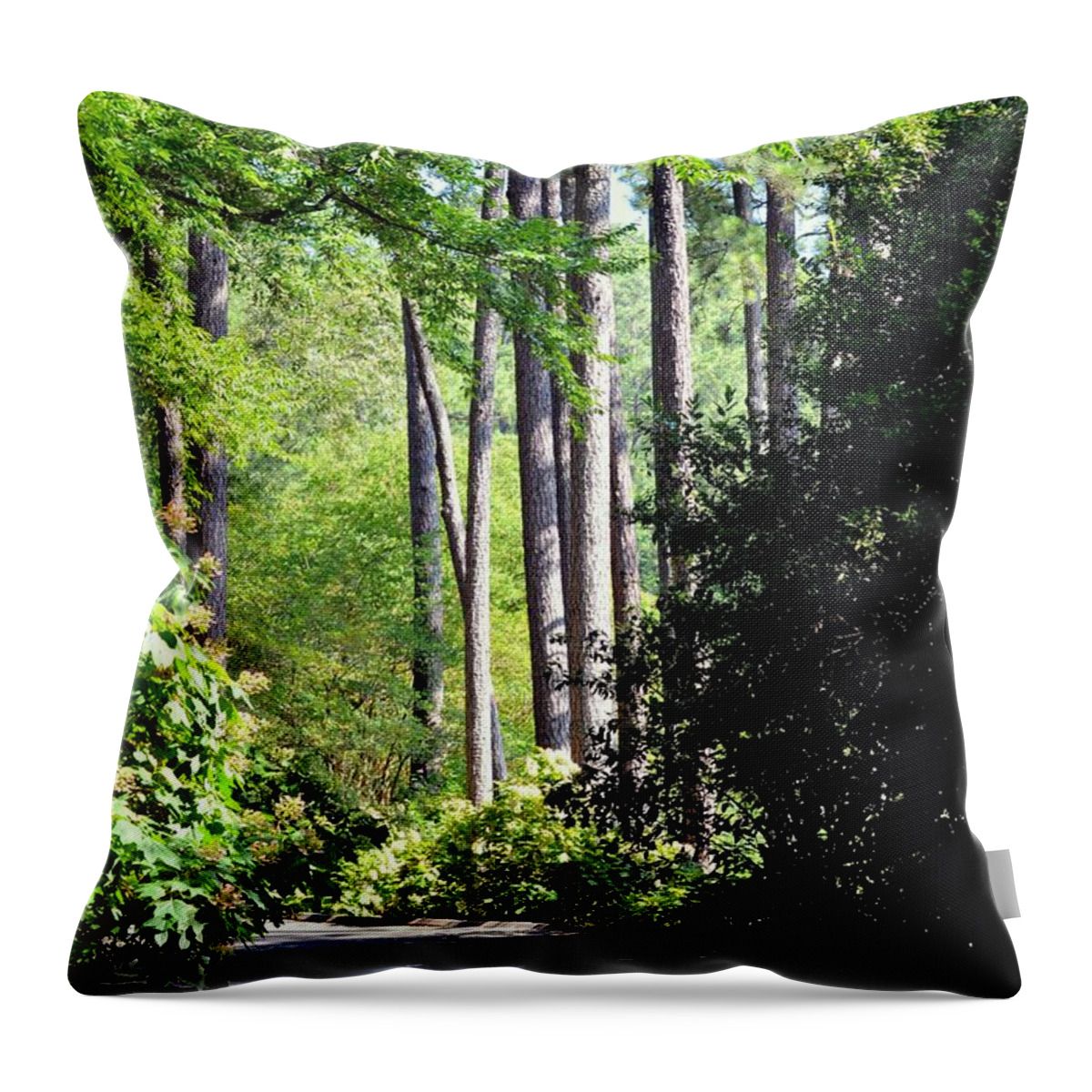 A Walk In The Shade Throw Pillow featuring the photograph A Walk in the Shade by Maria Urso