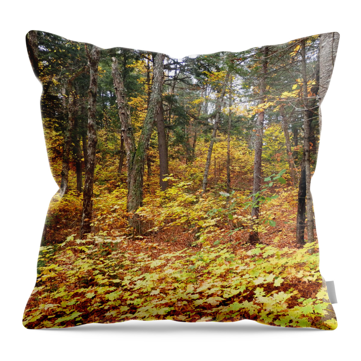 Wood Throw Pillow featuring the photograph A walk in the woods 1 by Pema Hou