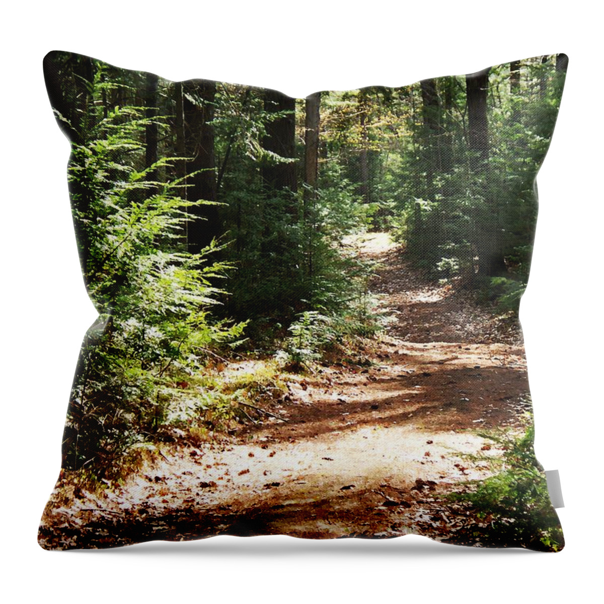 Photography Throw Pillow featuring the photograph A Walk In The Woods by Joy Nichols