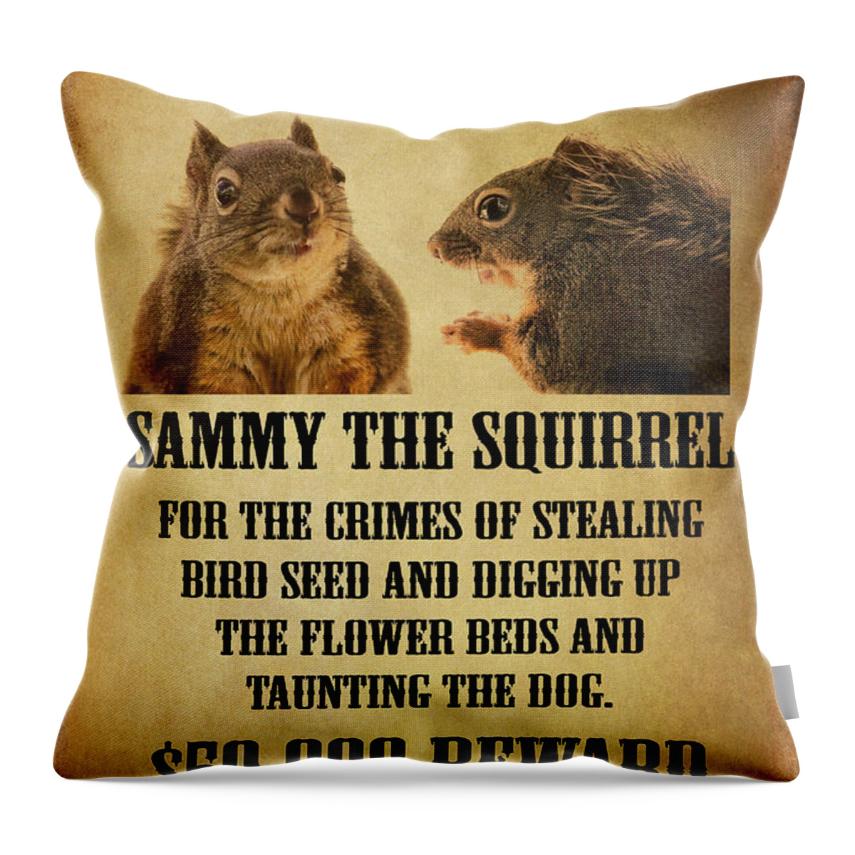 Squirrels Throw Pillow featuring the photograph A Wanted Squirrel by Peggy Collins