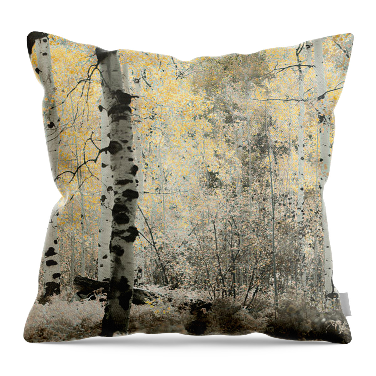 Aspens Throw Pillow featuring the photograph A Wisp of Gold by Don Schwartz