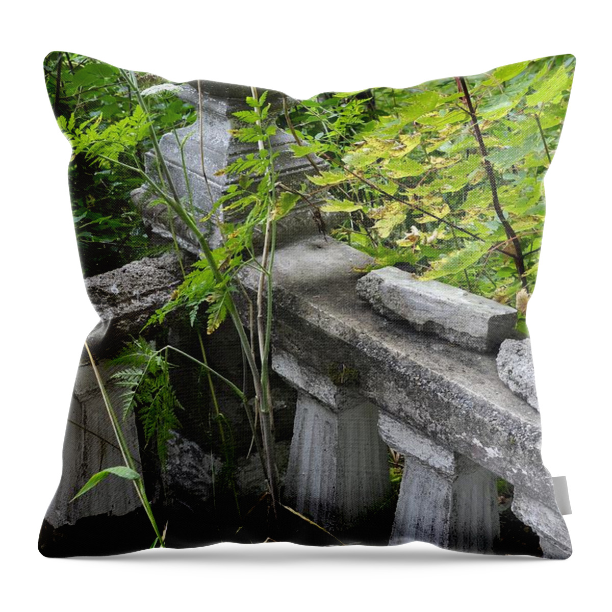 Abandoned Throw Pillow featuring the photograph Abandoned Cemetery by Cathy Mahnke
