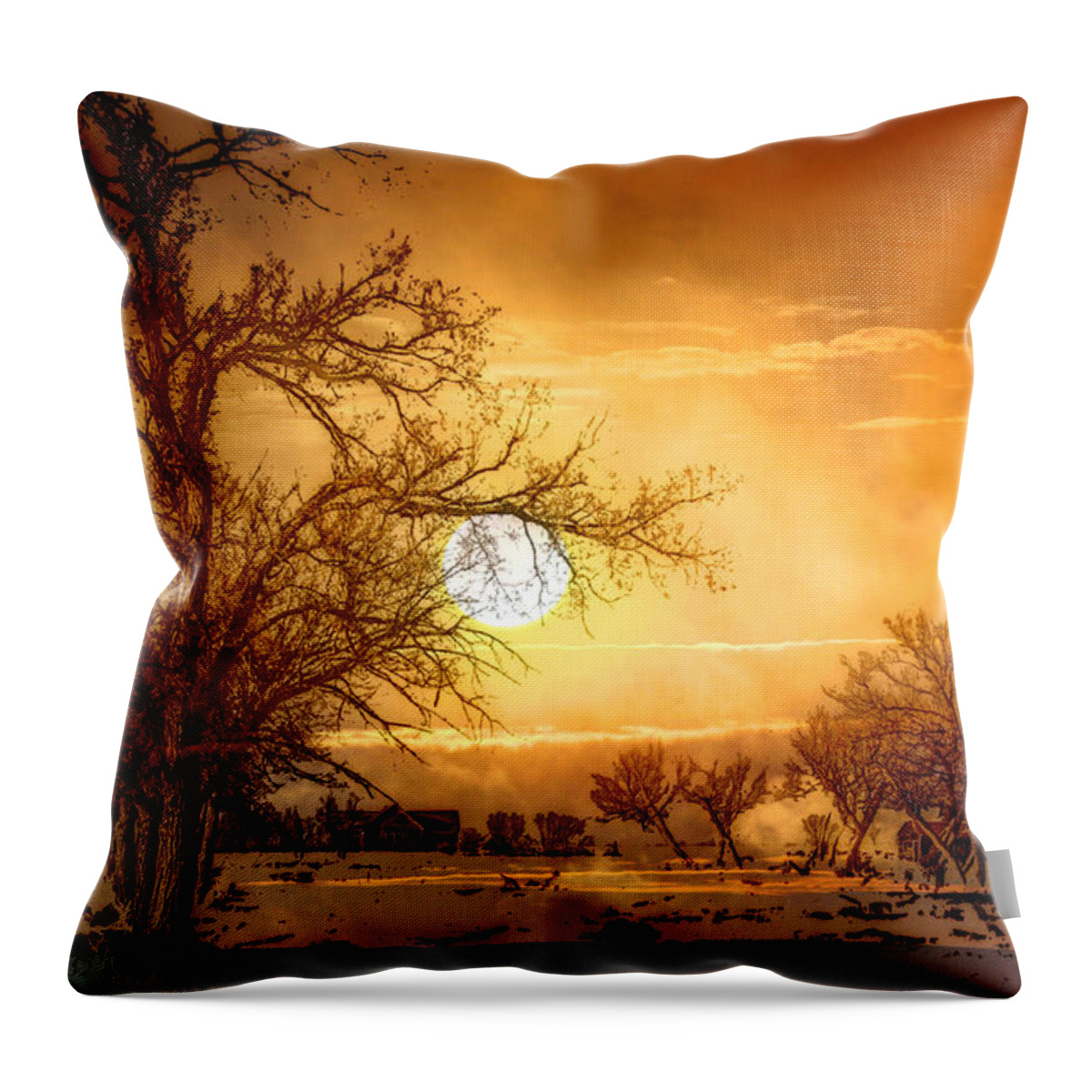 Andrea Lawrence Saskatchewan Artist Throw Pillow featuring the digital art Abandoned Farm by Andrea Lawrence