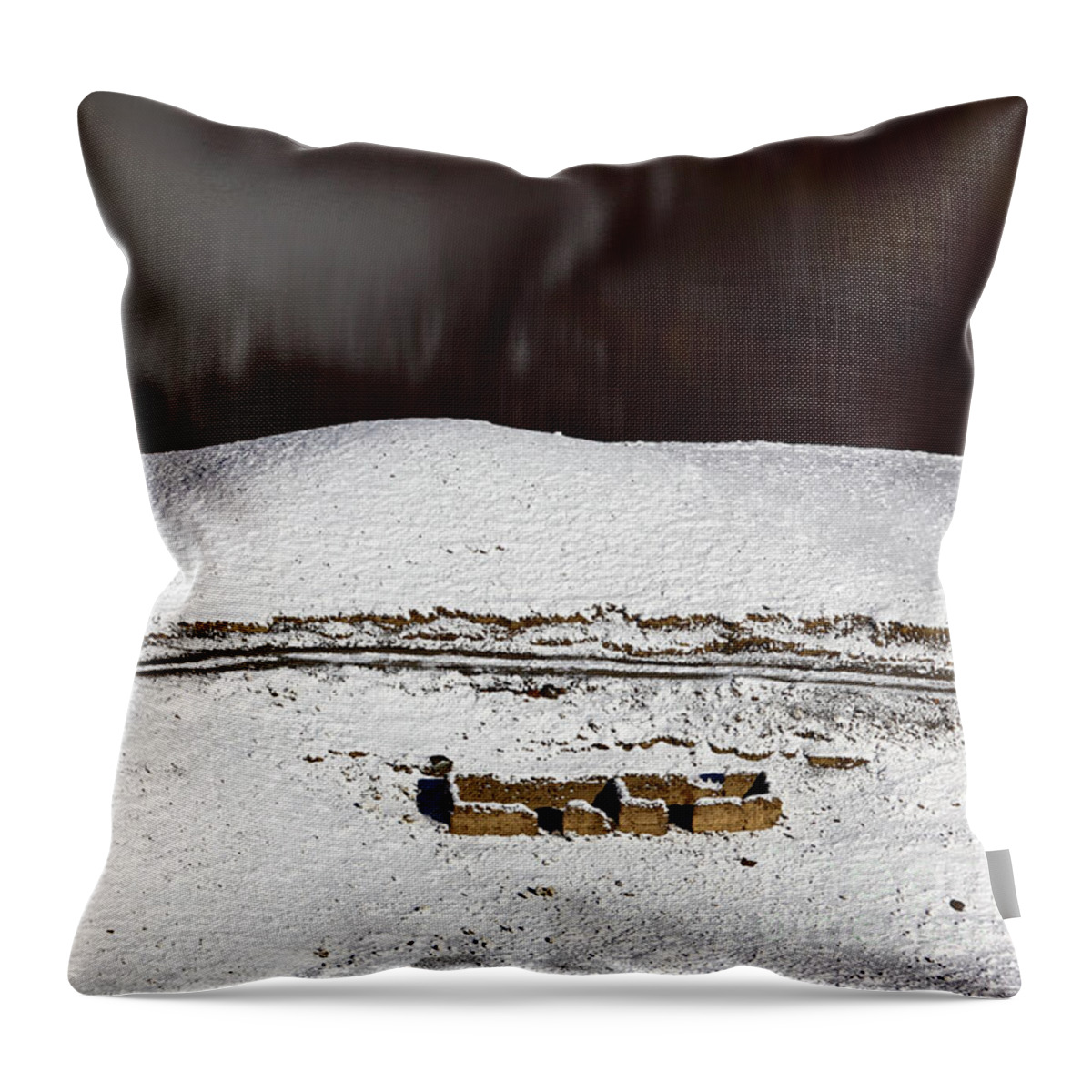 Winter Throw Pillow featuring the photograph Abandoned house by the lake in winter by James Brunker