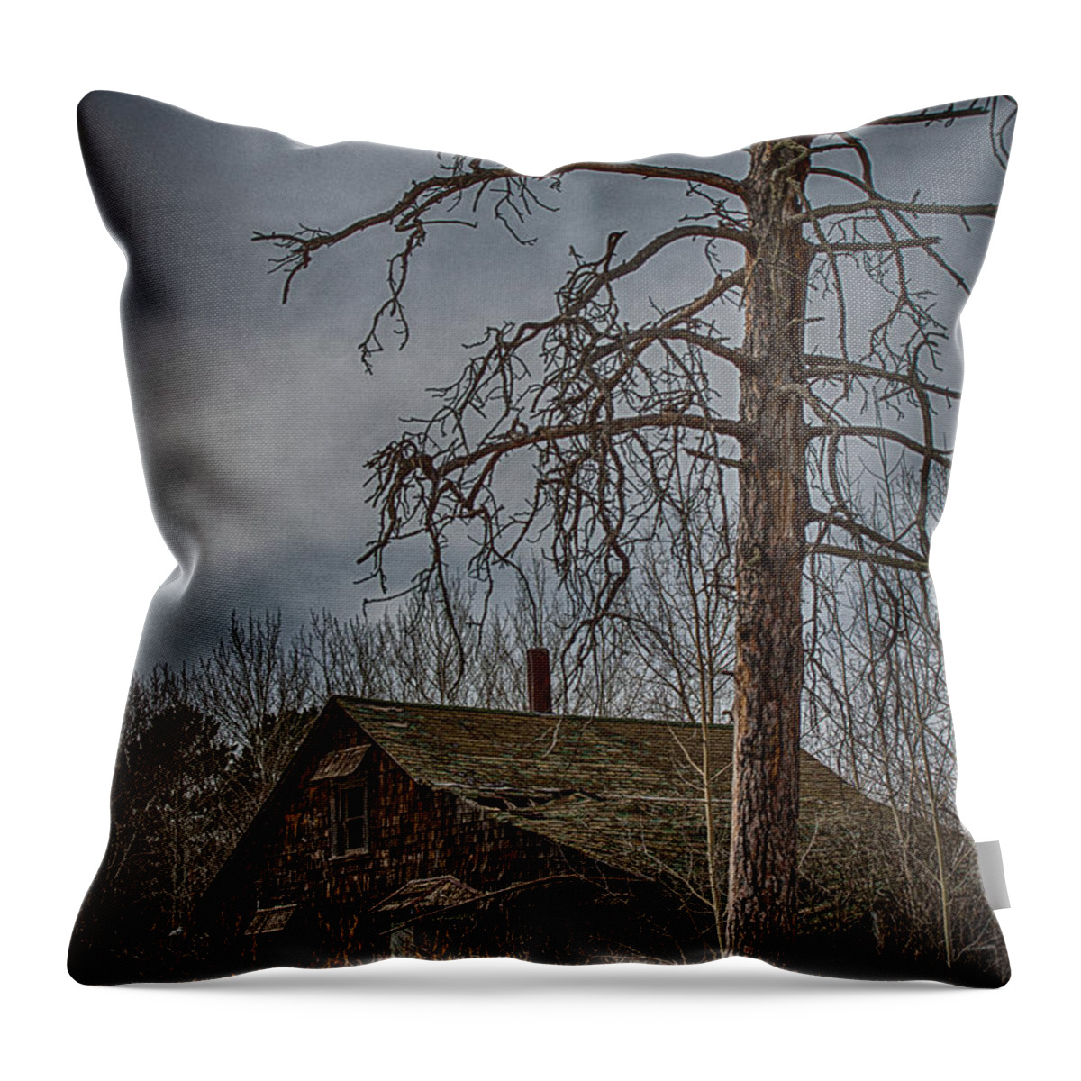 Old Throw Pillow featuring the photograph Abandoned House by Paul Freidlund