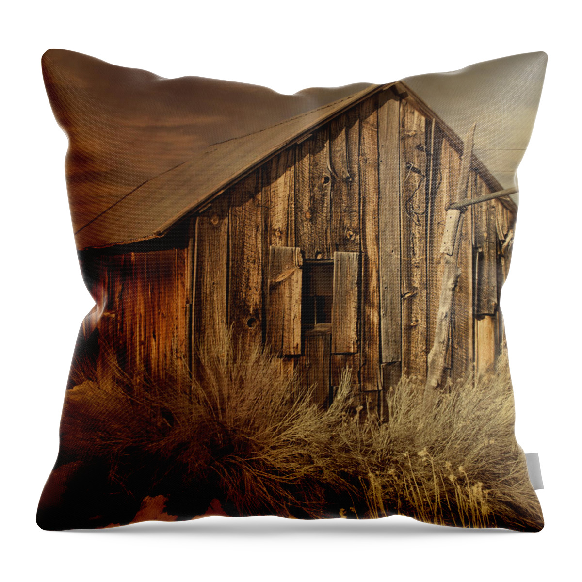 Antique Throw Pillow featuring the photograph Abandoned in the West by Evie Carrier