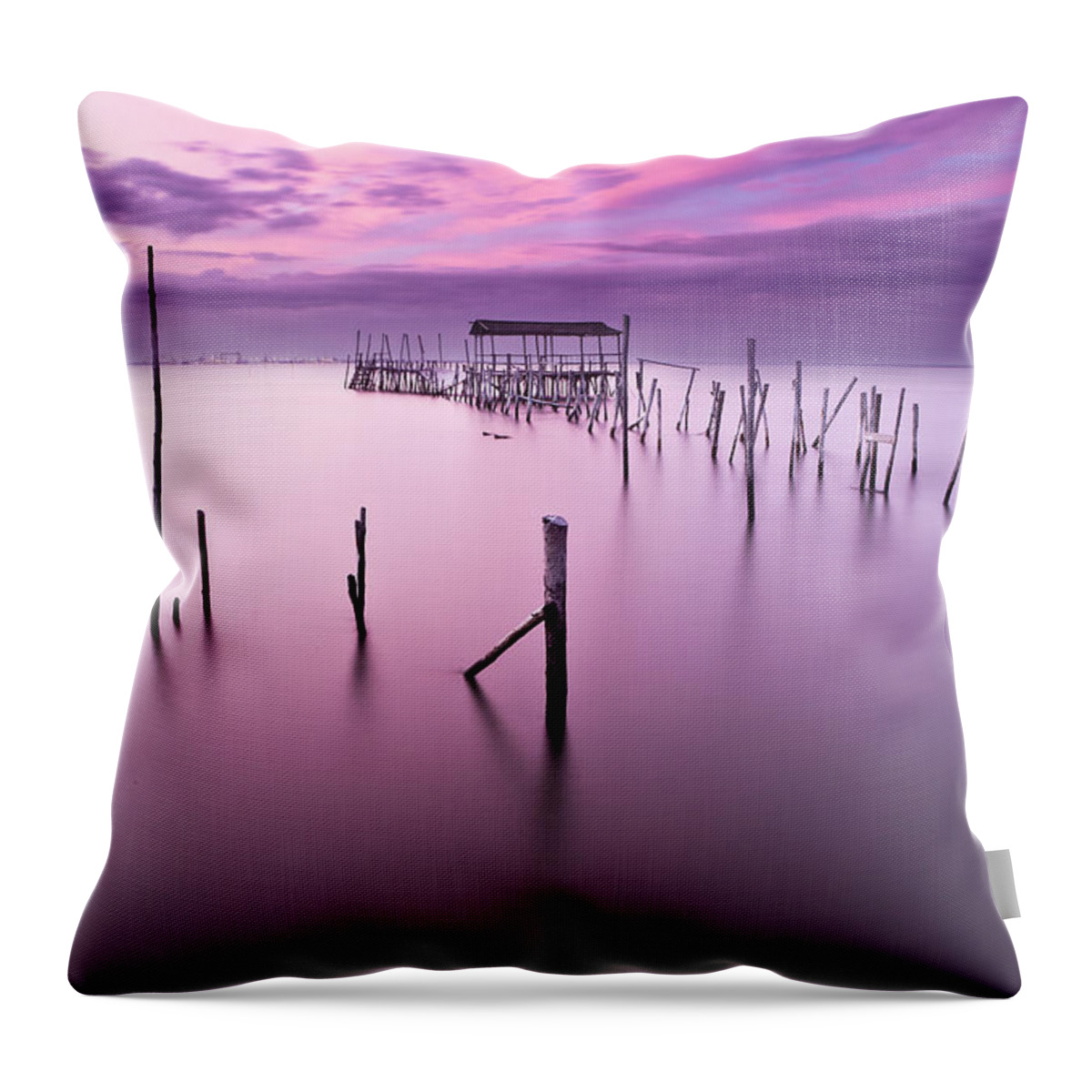 Water Throw Pillow featuring the photograph Abandoned by Jorge Maia