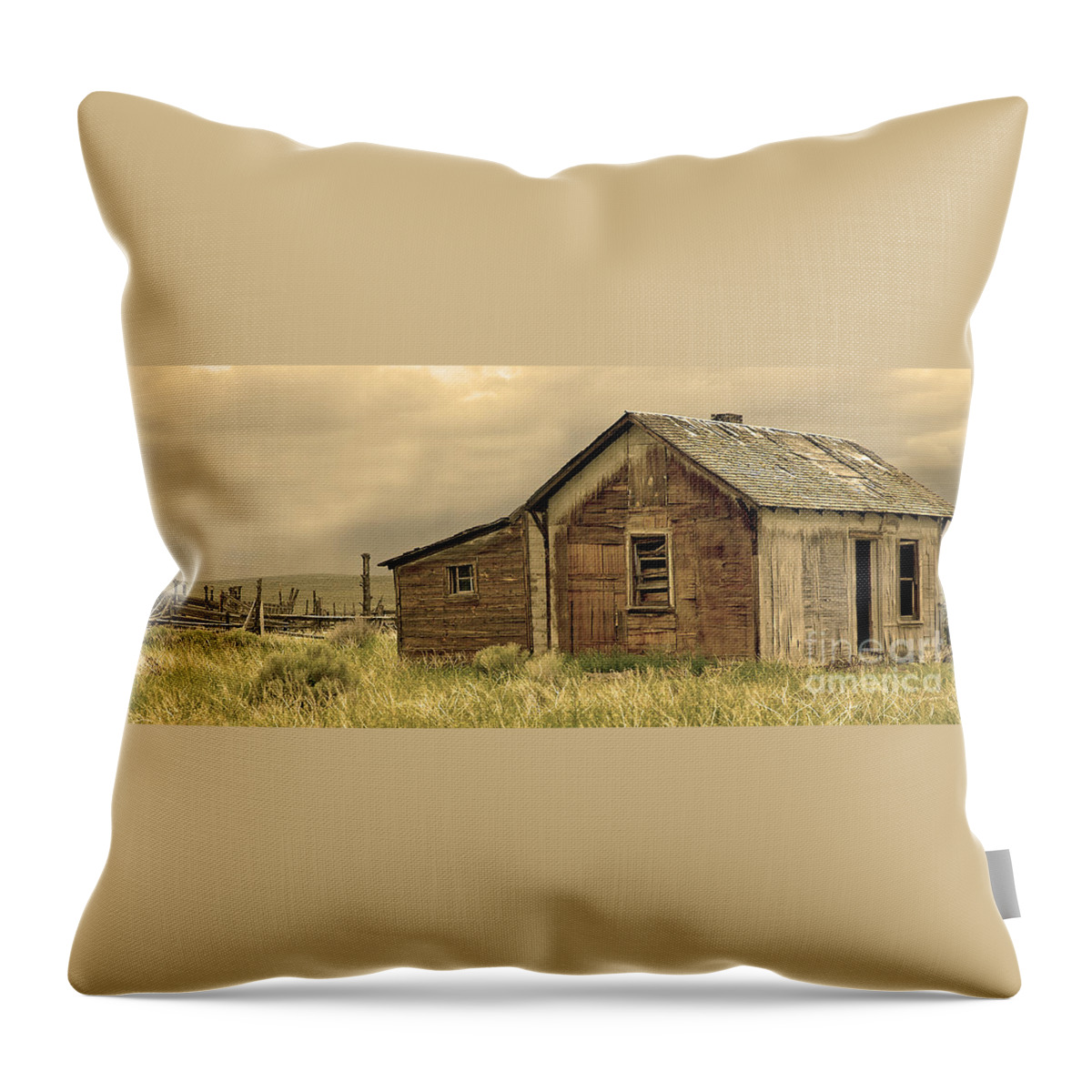 Central Throw Pillow featuring the photograph Abandoned by Nick Boren
