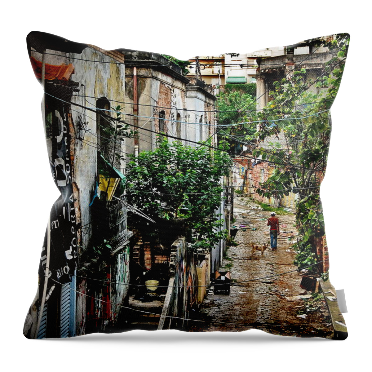 Sao Paulo Throw Pillow featuring the photograph Abandoned place in Sao Paulo by Carlos Alkmin