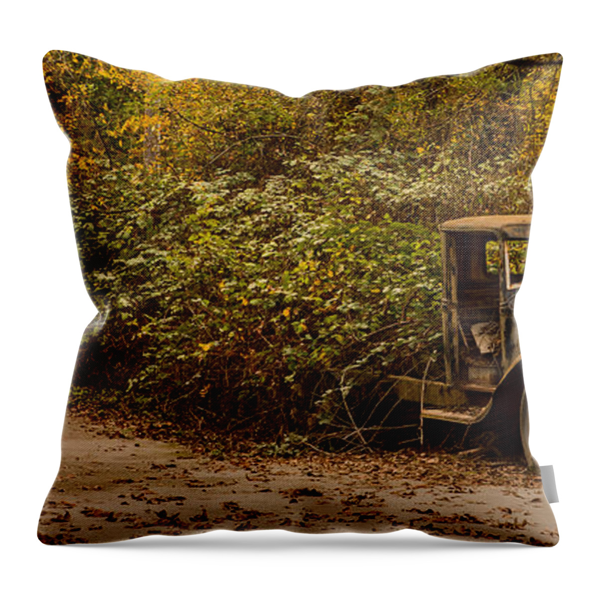 Car Throw Pillow featuring the photograph Abandoned Truck by Bryant Coffey