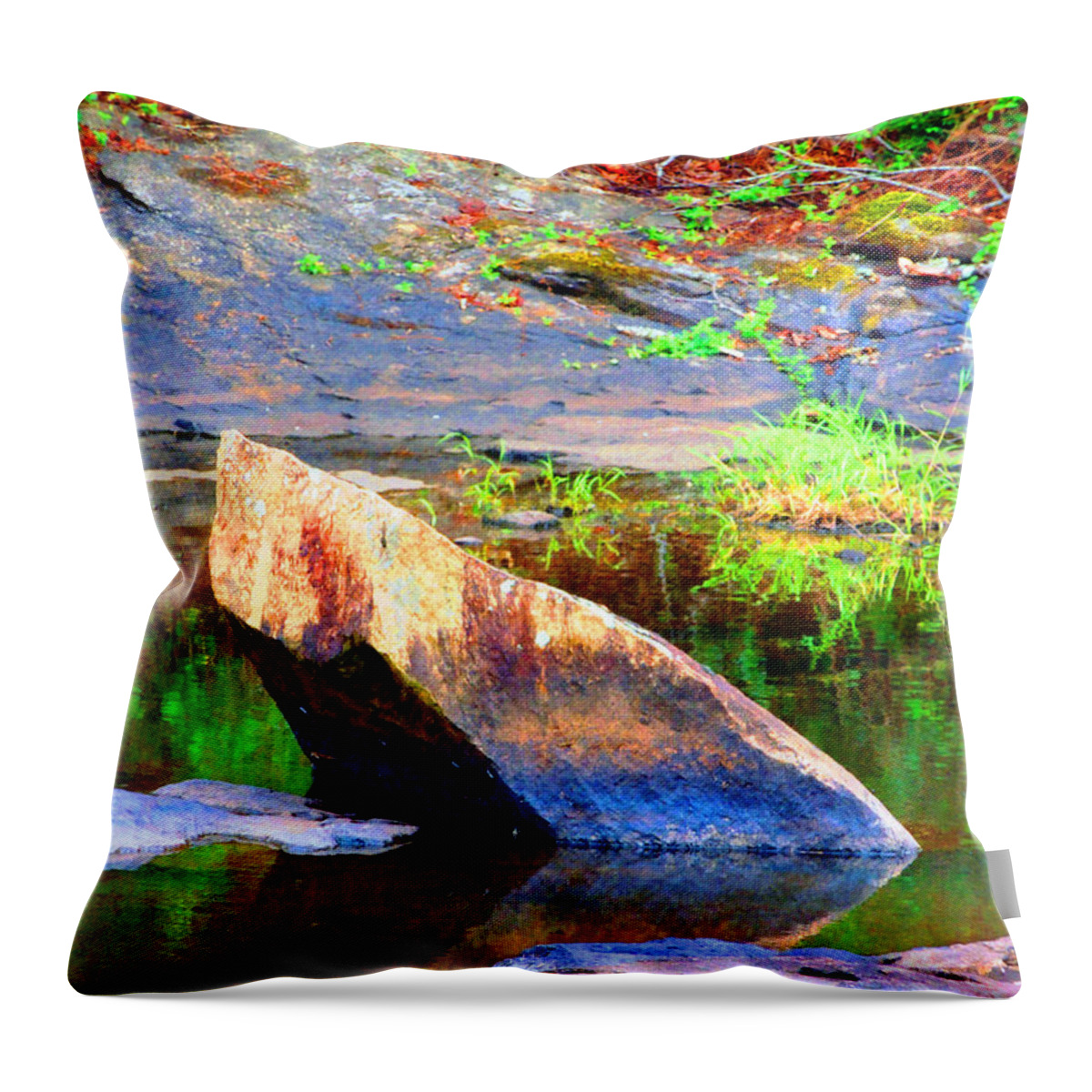 In Focus Throw Pillow featuring the photograph Abstact Rock				 by Aaron Martens