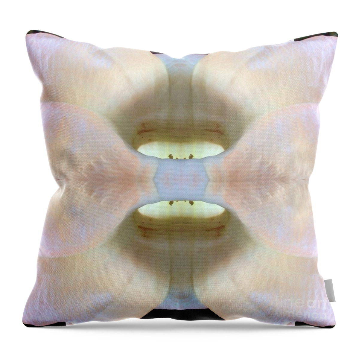 Flower Throw Pillow featuring the photograph Abstract Bloom by Alice Terrill