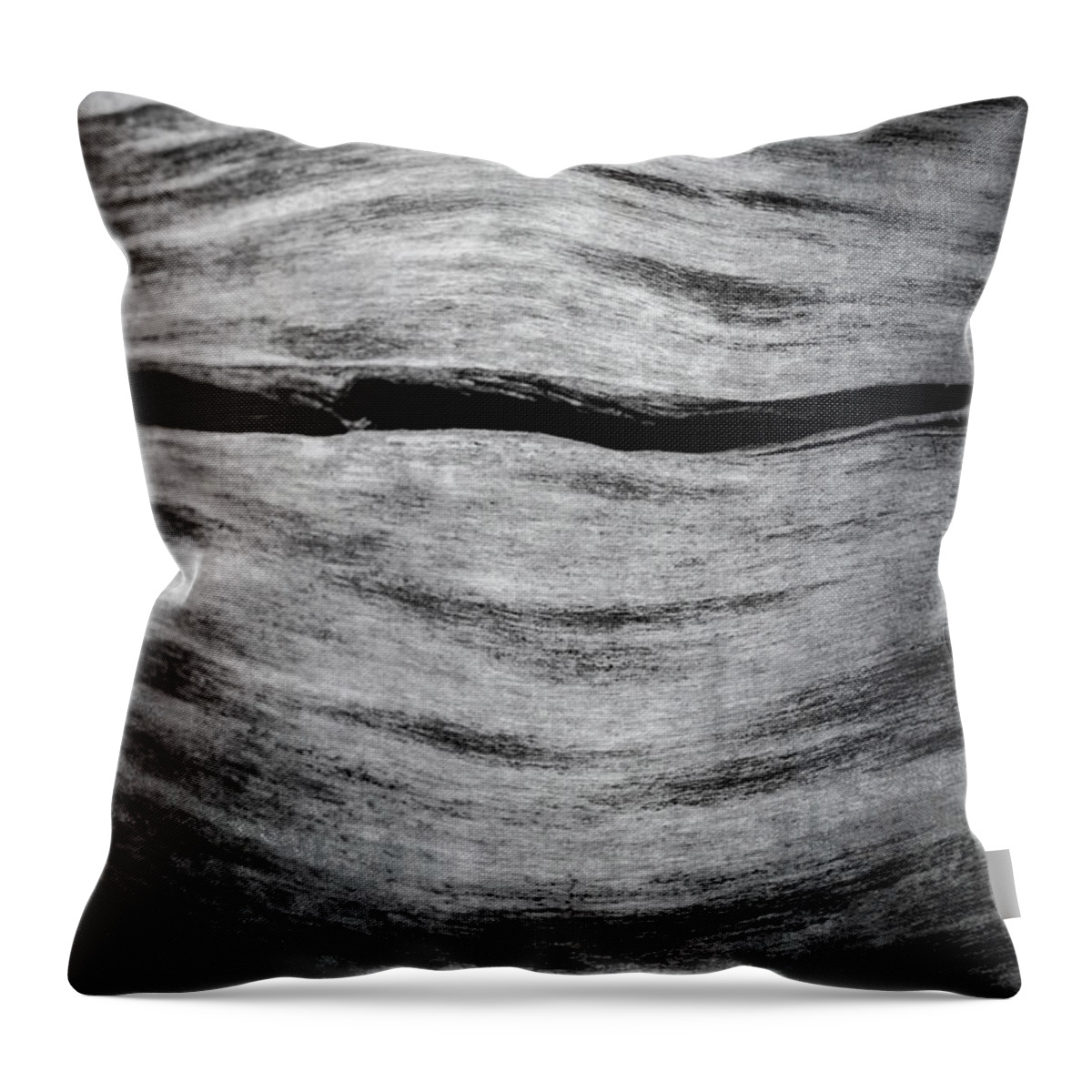 Abstract Throw Pillow featuring the photograph Abstract Log by Tamara Becker