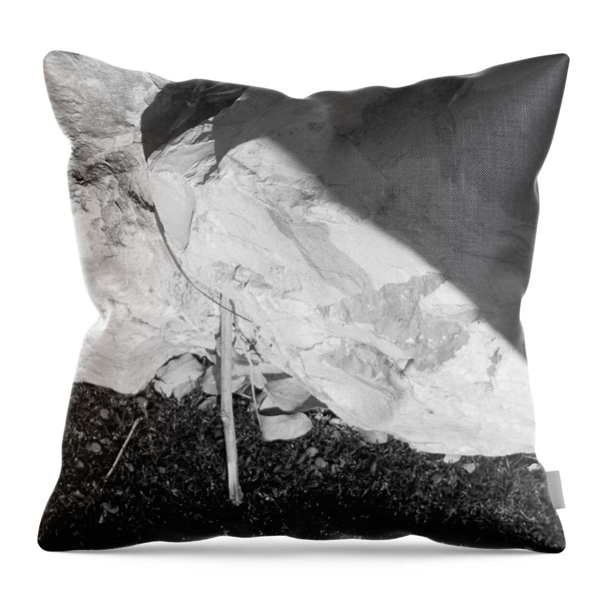 Abstract Of Rock And Shadow Throw Pillow featuring the photograph Abstract of Rock and Shadow by Esther Newman-Cohen