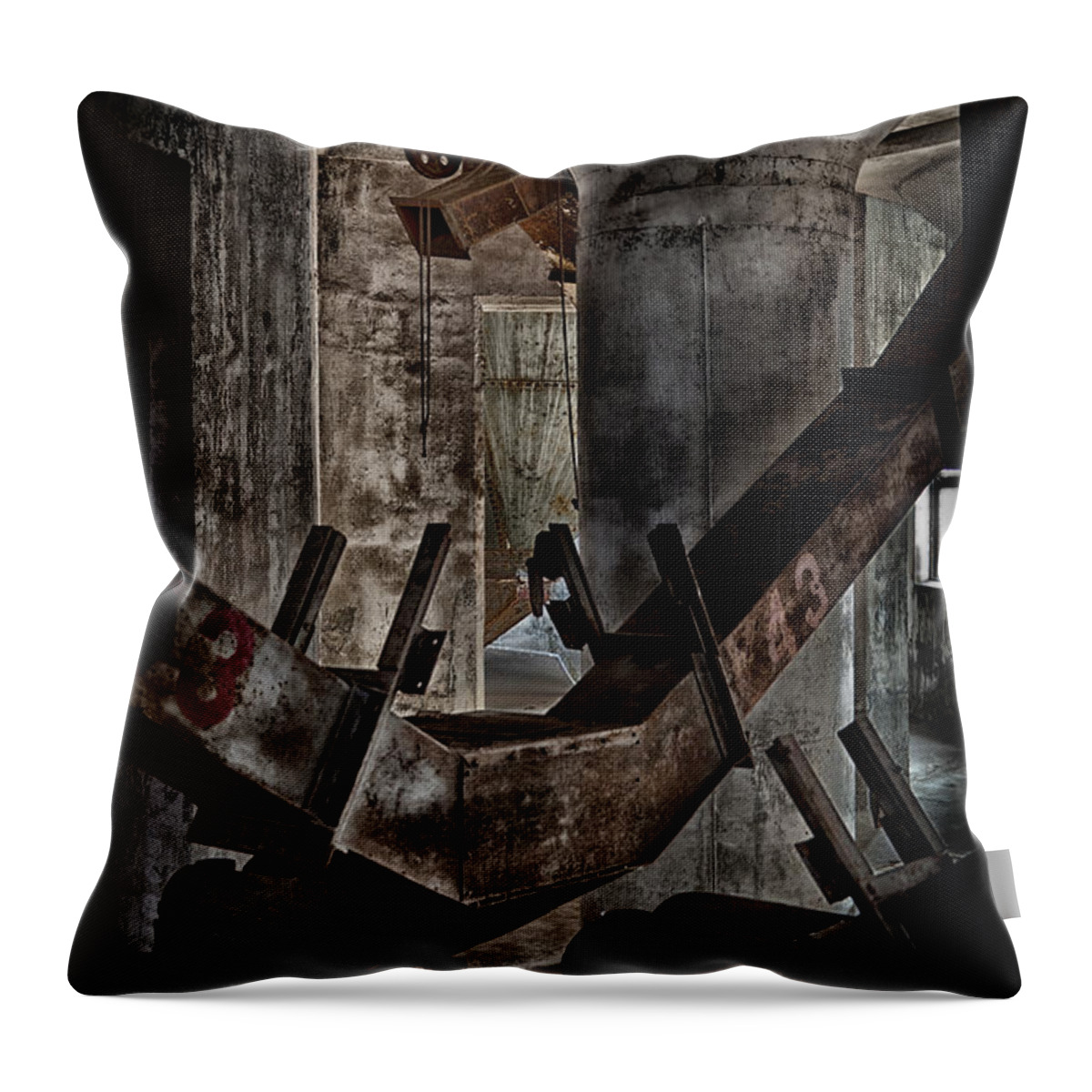 Buffalo Throw Pillow featuring the photograph Abstract by Phil Pantano