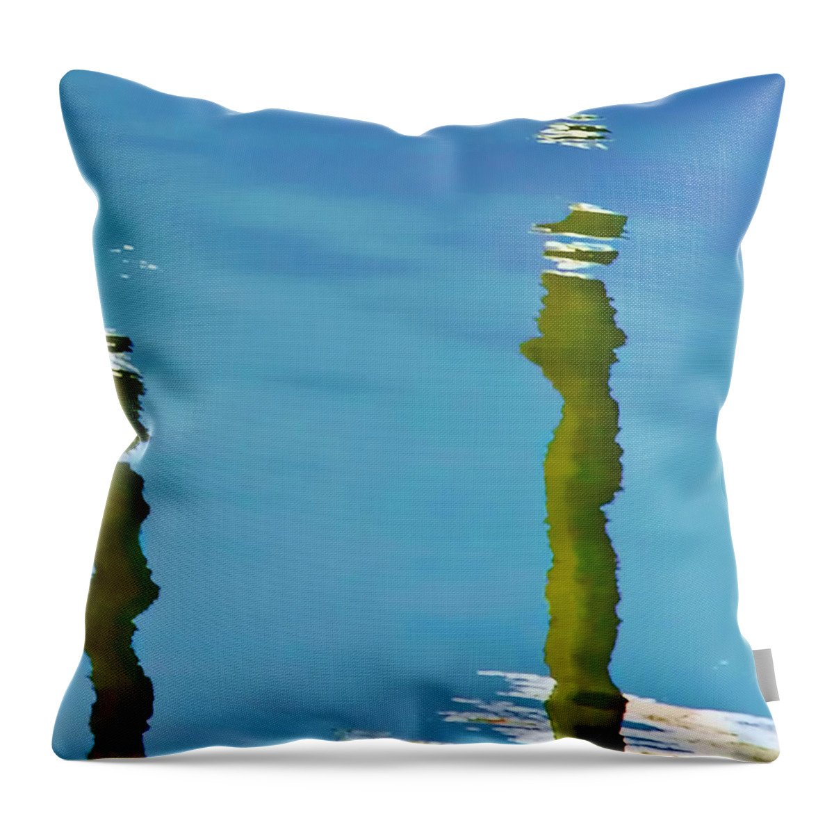 Water Throw Pillow featuring the photograph Abstract Reflection In River by Gary Slawsky