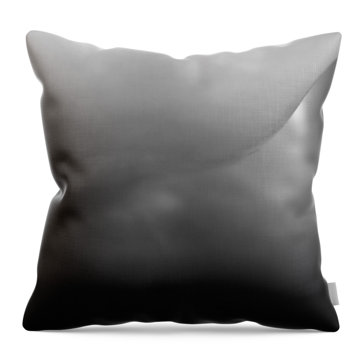 Abstract Throw Pillow featuring the photograph Abstract Study Black And White by Catherine Lau