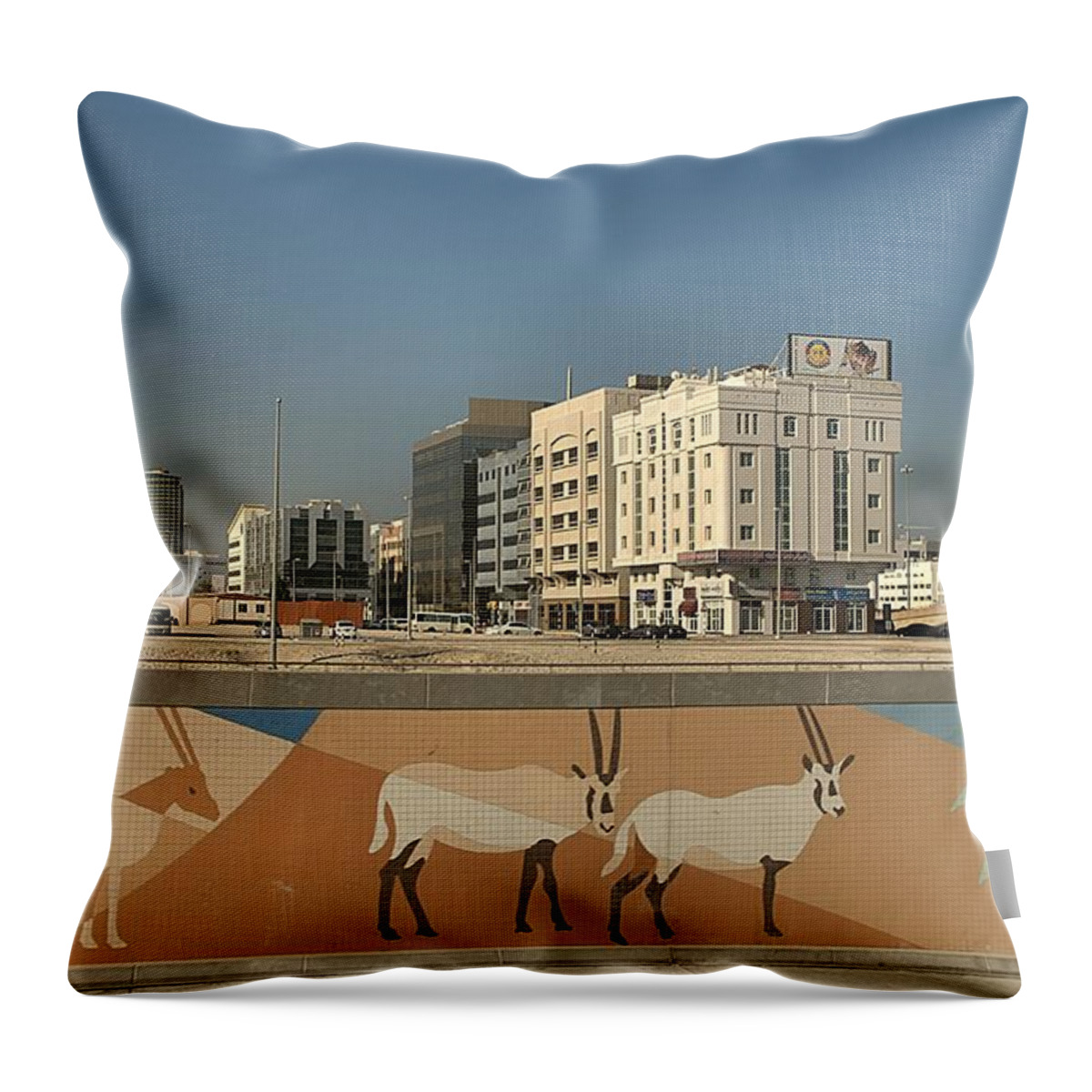 Abu Dhabi Throw Pillow featuring the photograph Abu Dhabi Outskirts by Steven Richman