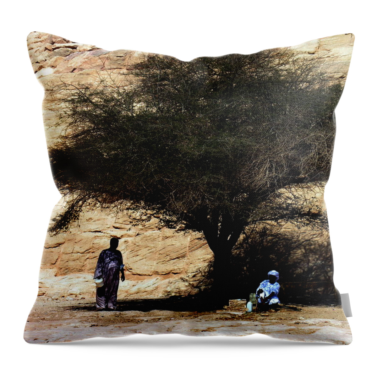 Abu Simbel Throw Pillow featuring the photograph Abu Simbel - Shade by Jacqueline M Lewis