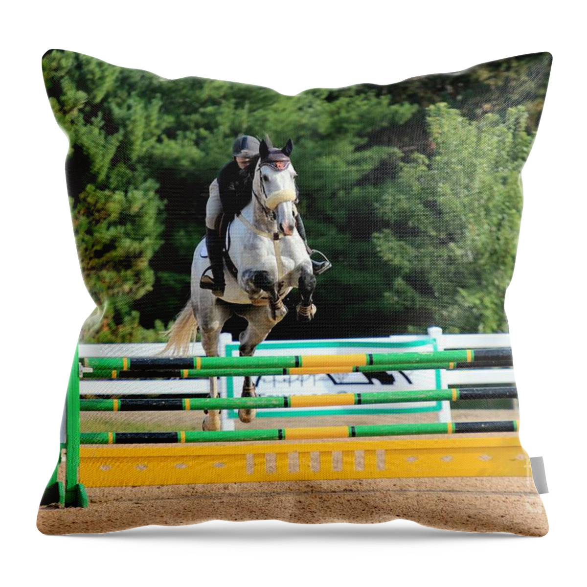 Horse Throw Pillow featuring the photograph Ac-jumper143 by Janice Byer