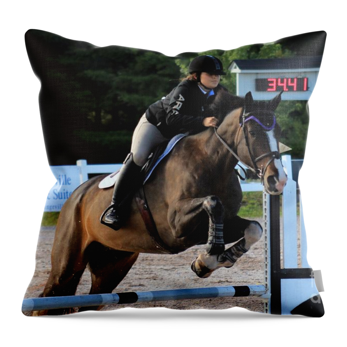 Horse Throw Pillow featuring the photograph Ac-jumper5 by Janice Byer