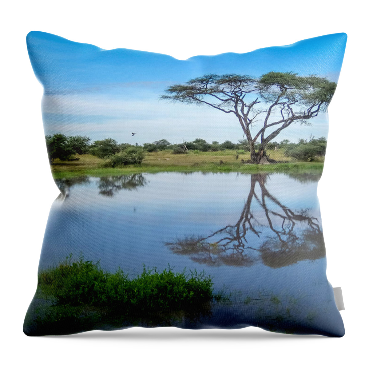 100324 Botswana & Zimbabwe Expeditions Throw Pillow featuring the photograph Acacia Tree by Gregory Daley MPSA