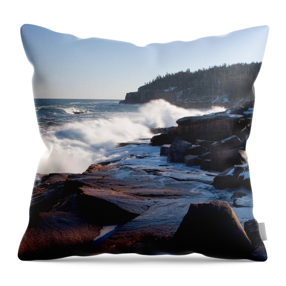 Landscape Throw Pillow featuring the photograph Acadia Coast overlooking Otter Point 9422 by Brent L Ander