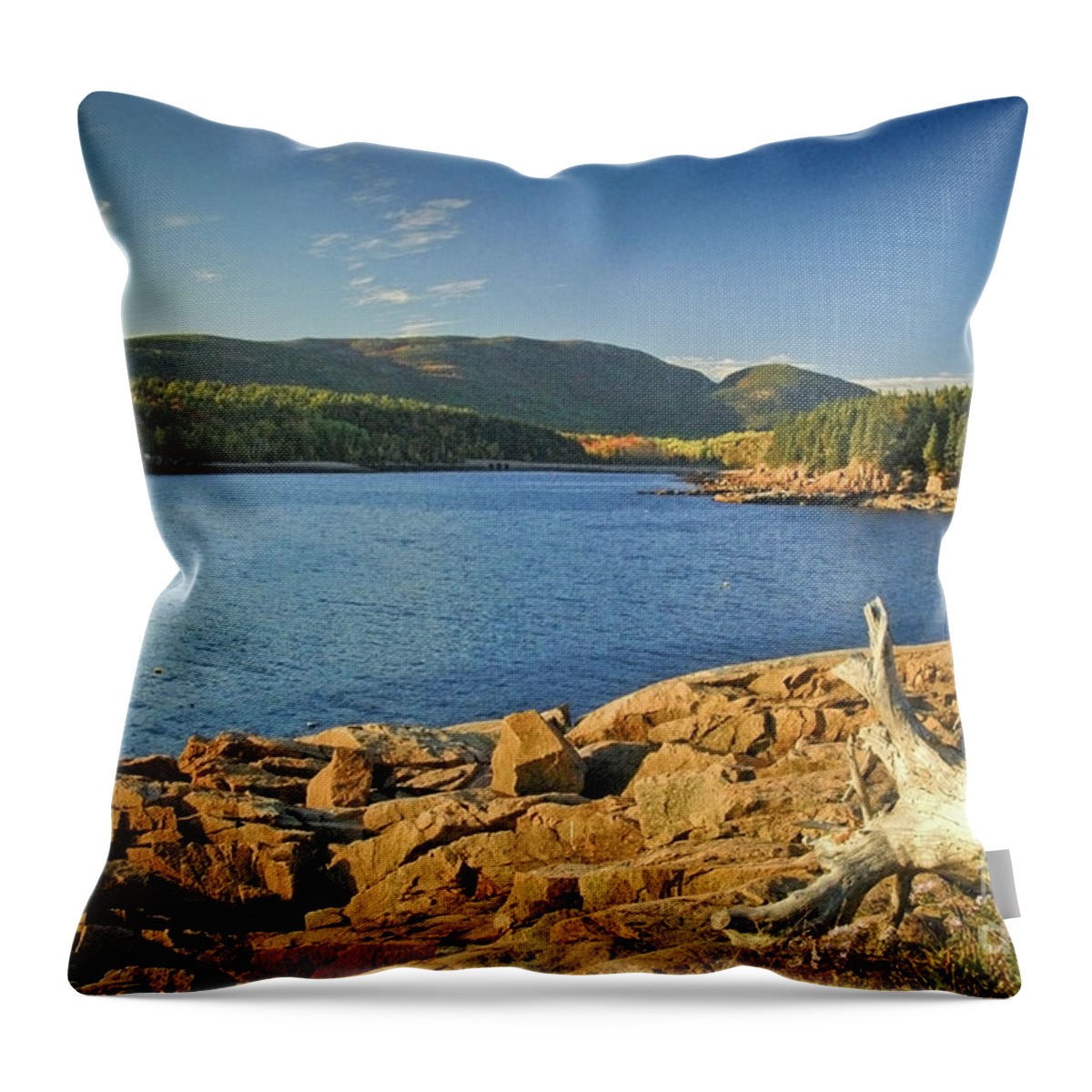 Acadia National Park Throw Pillow featuring the photograph Acadia Otter Cove by Alana Ranney