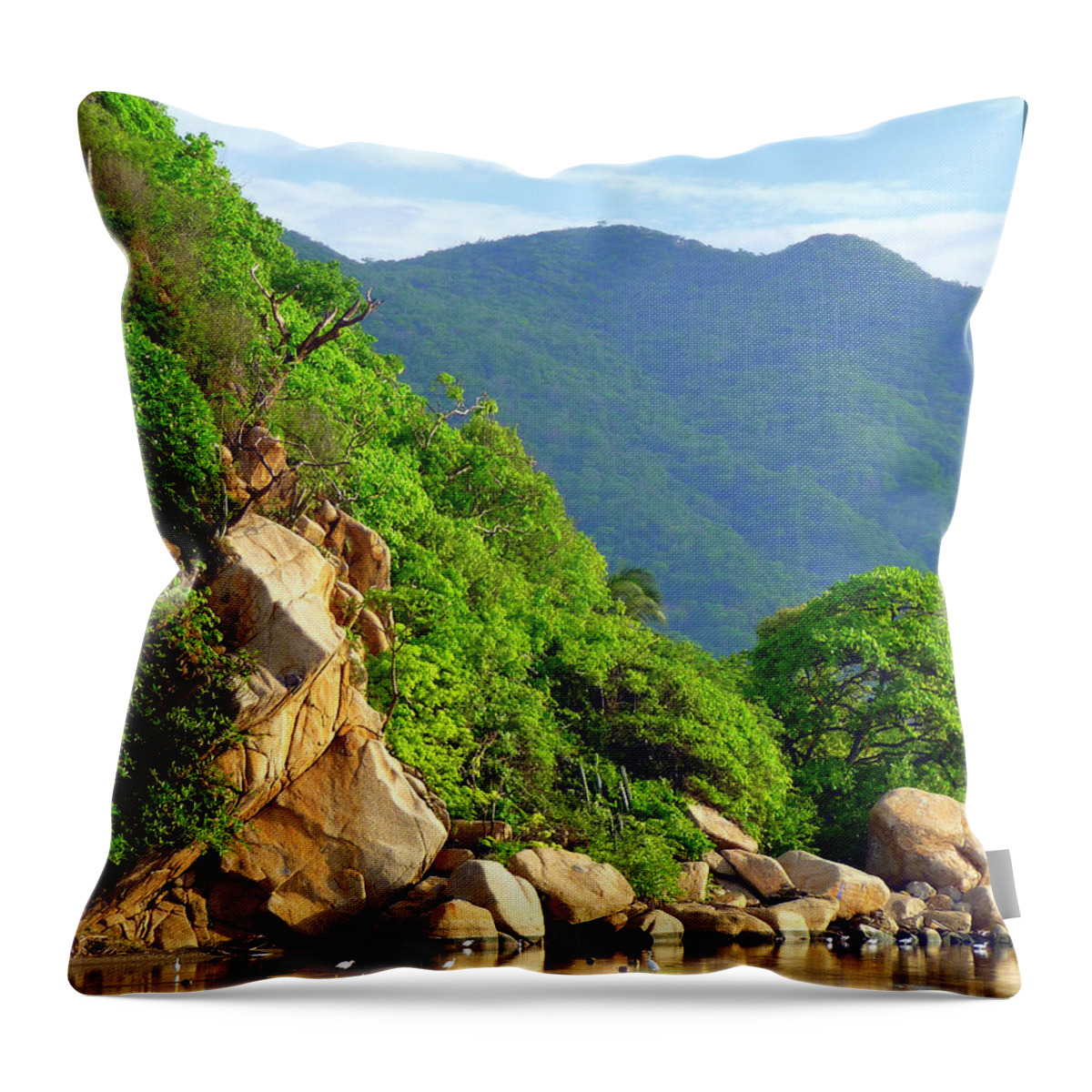 Landscape Throw Pillow featuring the photograph Acapulco Lagoon by Jim Whalen