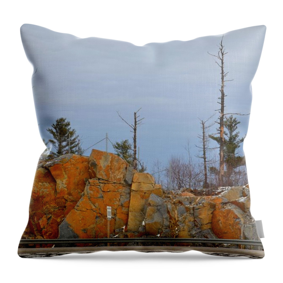 Landscape Throw Pillow featuring the photograph Across The Highway by Lyle Crump
