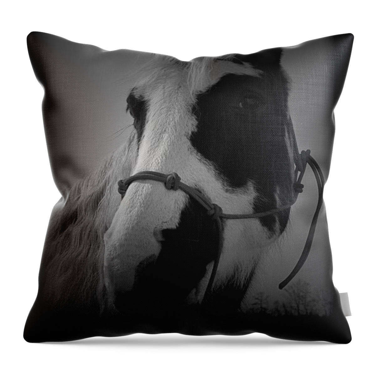 Horse Throw Pillow featuring the photograph Addie Mason 2 by Karen Harrison Brown