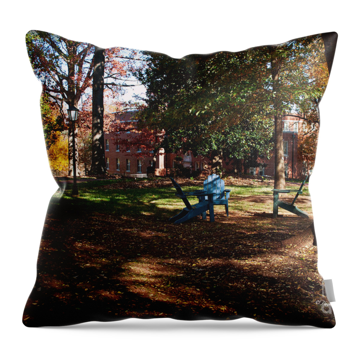 Art Throw Pillow featuring the photograph Adirondack Chairs 2 - Davidson College by Paulette B Wright