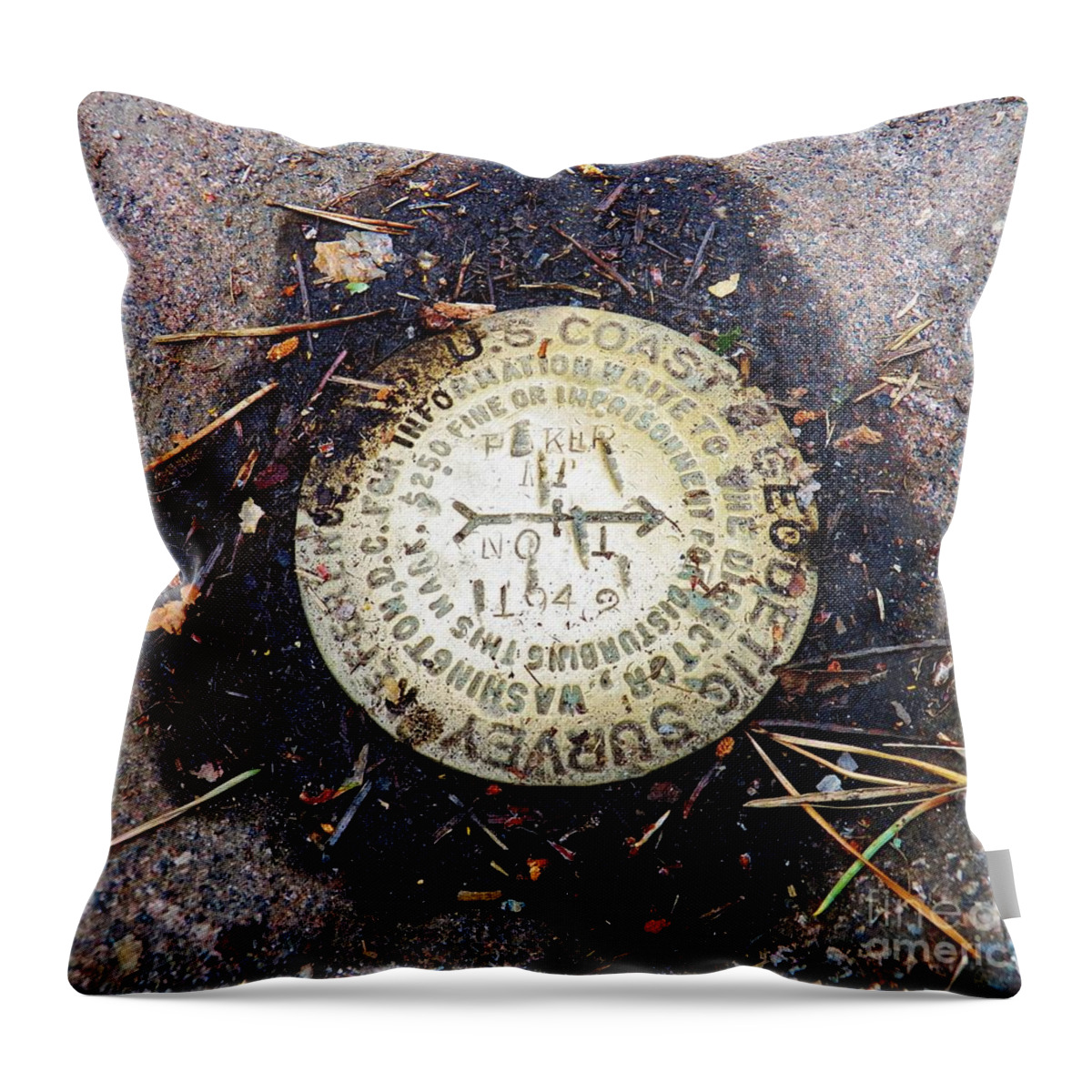 Geodetic Survey Throw Pillow featuring the photograph Adirondack Mountaintop Marker by Judy Via-Wolff