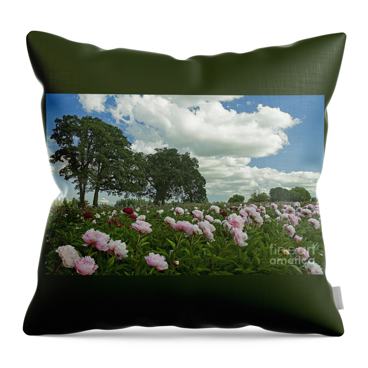 Pacific Throw Pillow featuring the photograph Adleman's Peony Fields by Nick Boren