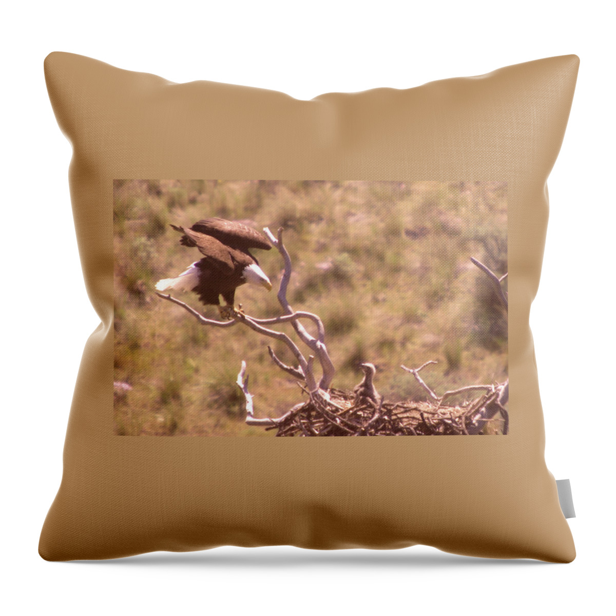 Eagles Throw Pillow featuring the photograph Adult Eagle With Eaglet by Jeff Swan
