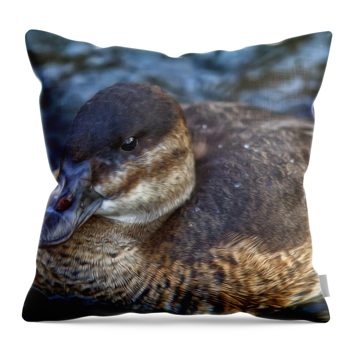 Duck Throw Pillow featuring the photograph Adult Female Ruddy Duck by Bill and Linda Tiepelman