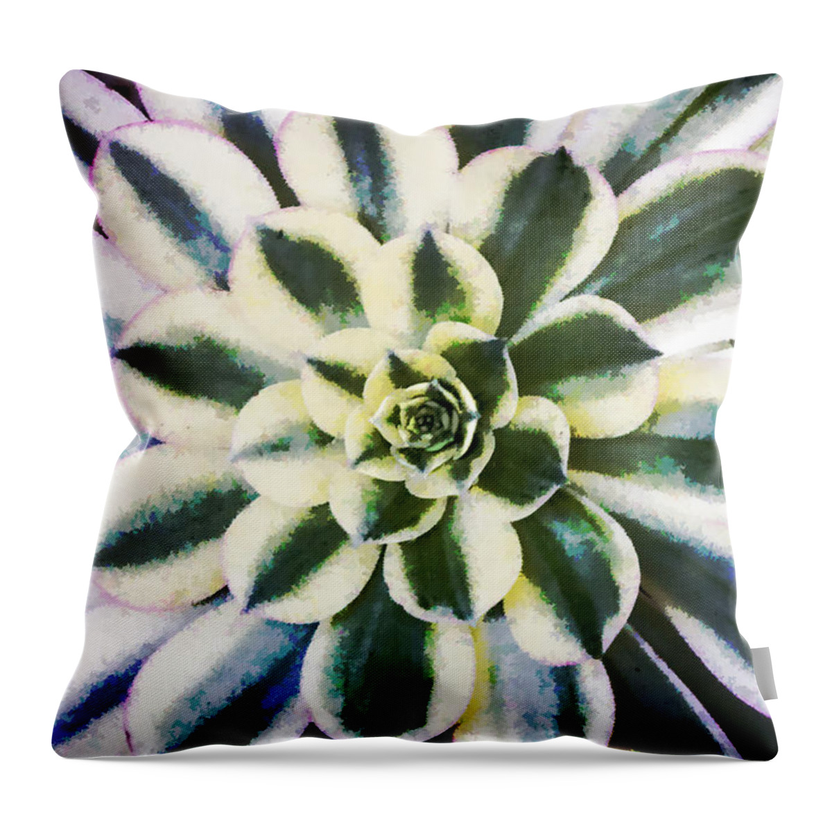 Aeonium Throw Pillow featuring the digital art Aeonium Symmetry by Photographic Art by Russel Ray Photos