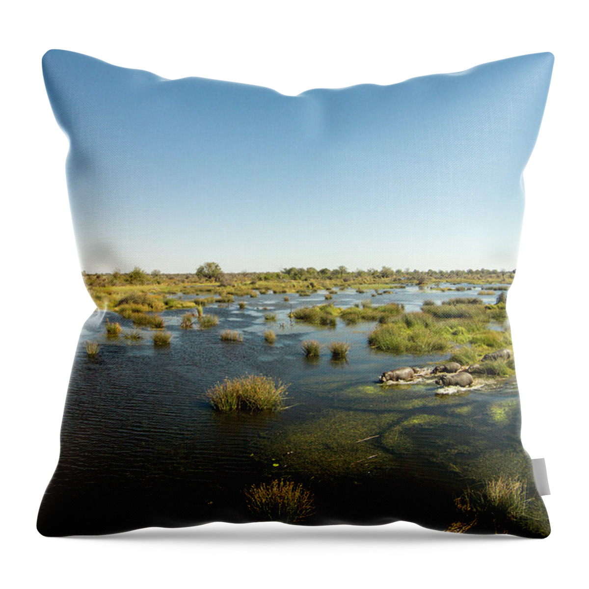 Aerial Throw Pillow featuring the photograph Aerial View Of Hippopotamus, Moremi by WorldFoto