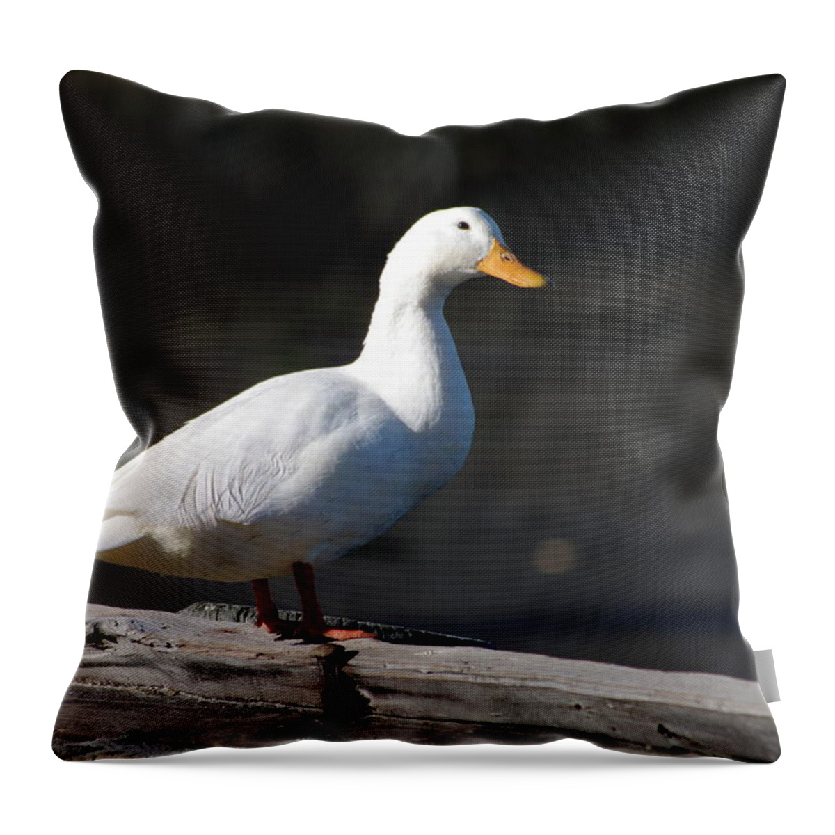Duck Throw Pillow featuring the photograph Aflac by Greg Graham