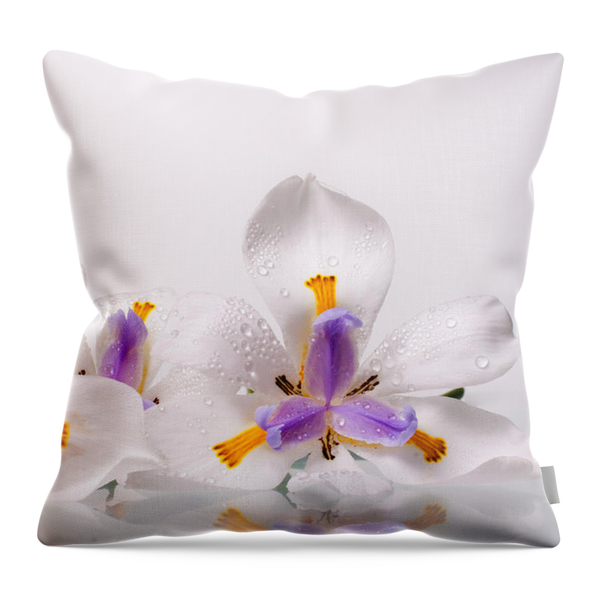 Iris Throw Pillow featuring the photograph African Irises IX by W Chris Fooshee